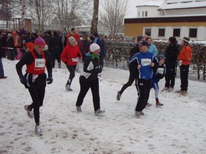 Luemmellauf Ahrensburg 010